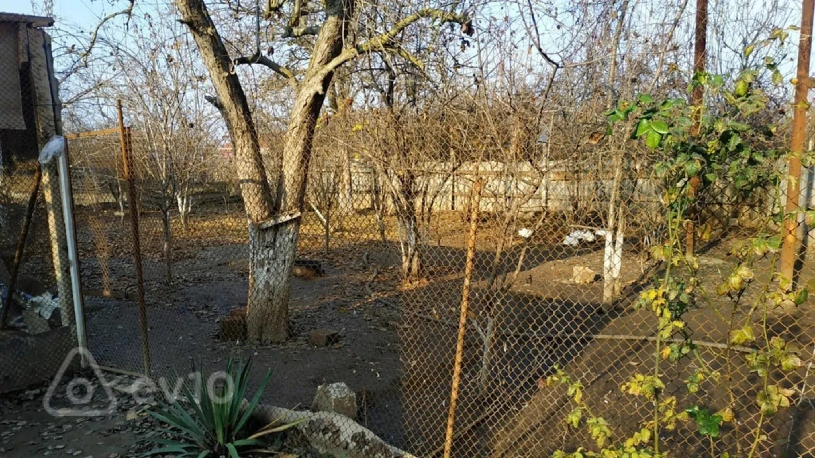 Satılır 11 otaqlı həyət evi 370 m²