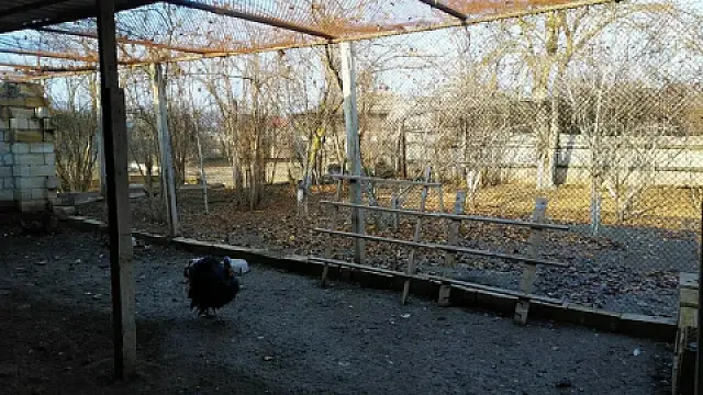 Satılır 11 otaqlı həyət evi 370 m²