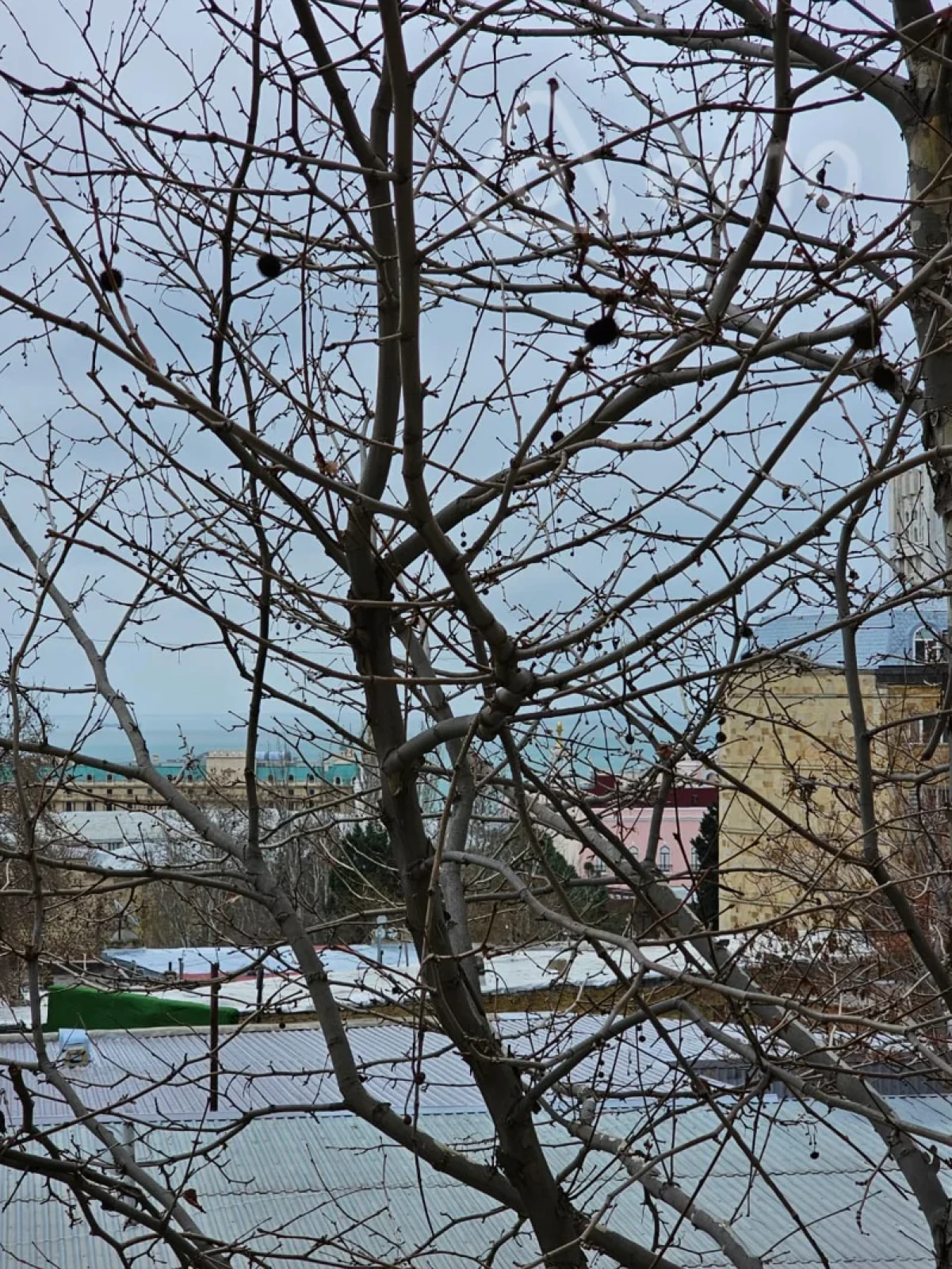 Satılır 4 otaqlı köhnə tikili 180 m²