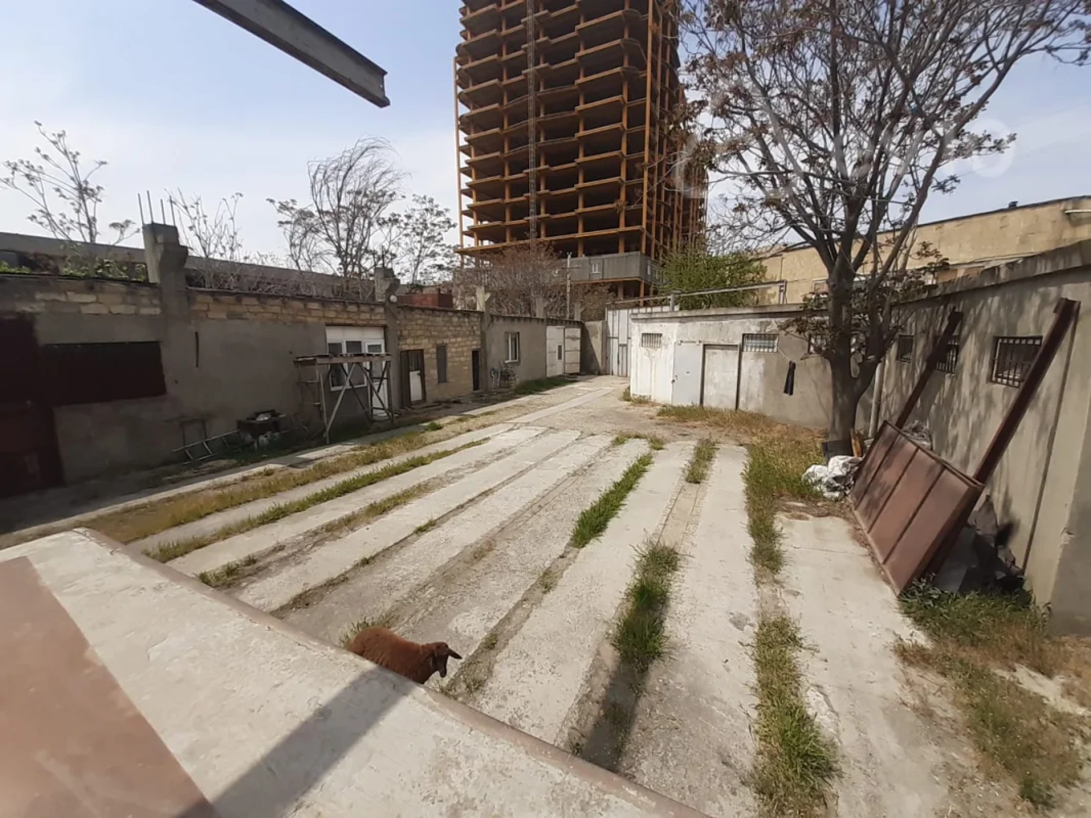 Kirayə verilir mənzil 270 m²