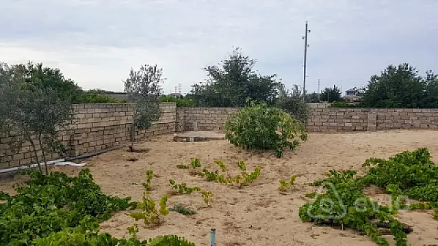 Kirayə verilir 3 otaqlı həyət evi 100 m²