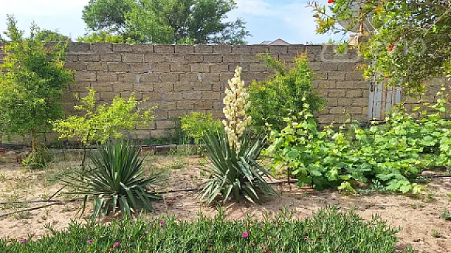 Kirayə verilir 3 otaqlı həyət evi 100 m²