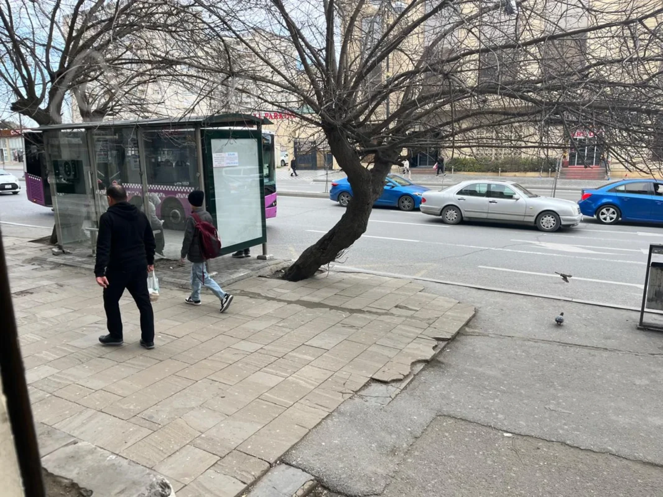 Kirayə verilir mənzil 20 m²