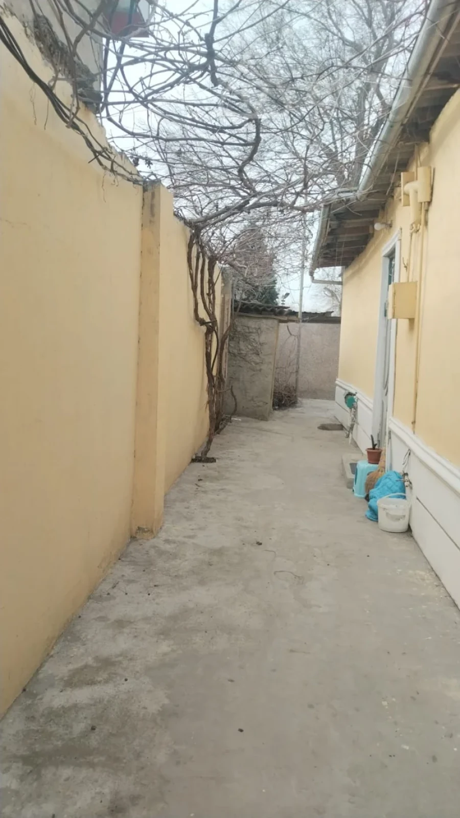 Kirayə verilir 2 otaqlı həyət evi 50 m²