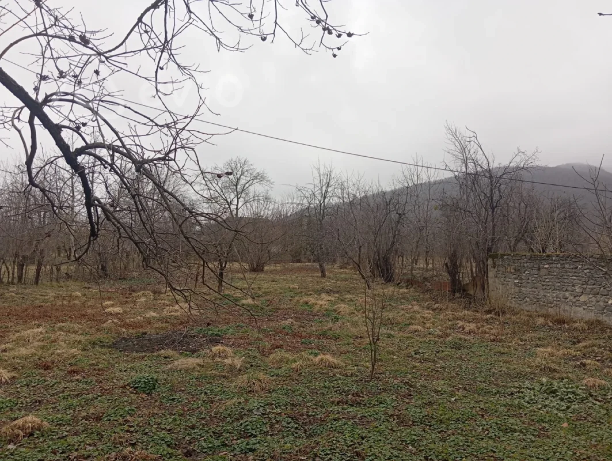 Satılır 5 otaqlı həyət evi 1600 m²