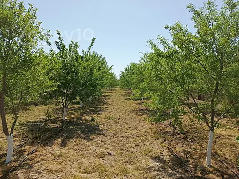 Satılır torpaq sahəsi — Bakı, Sabunçu