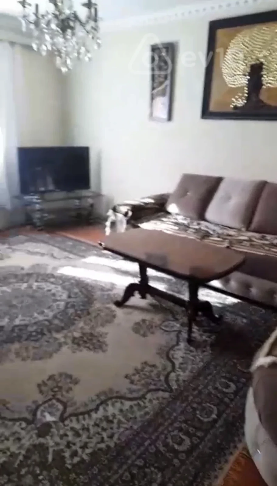 Kirayə verilir 2 otaqlı həyət evi 66 m²