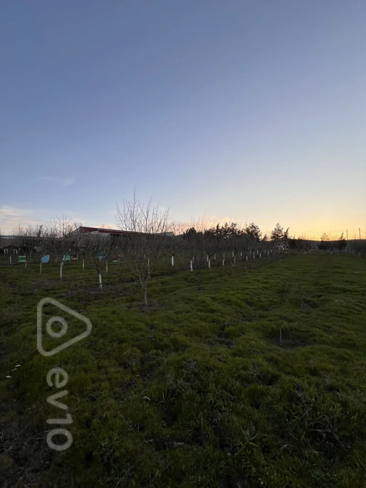 Satılır mənzil 100 m²