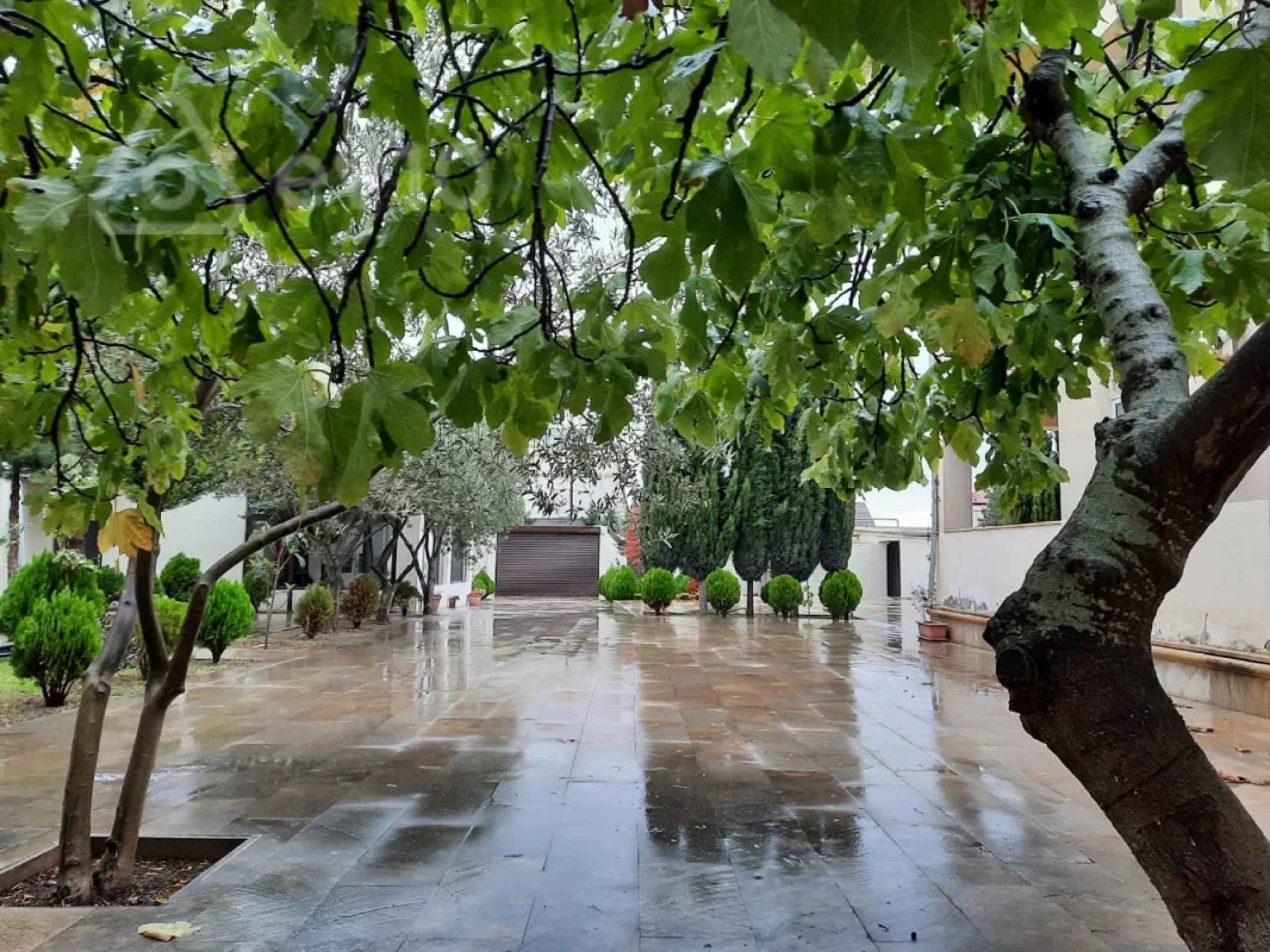 Kirayə verilir 6 otaqlı həyət evi 200 m²