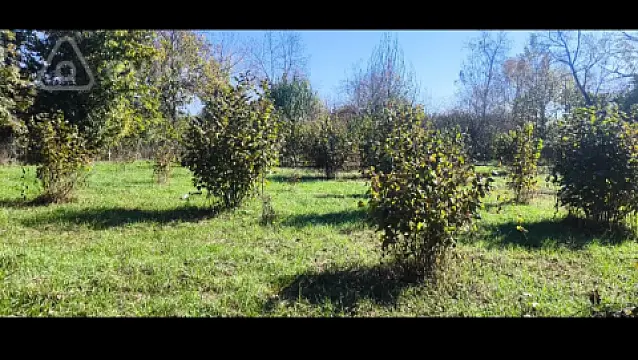 Satılır torpaq sahəsi — Qəbələ