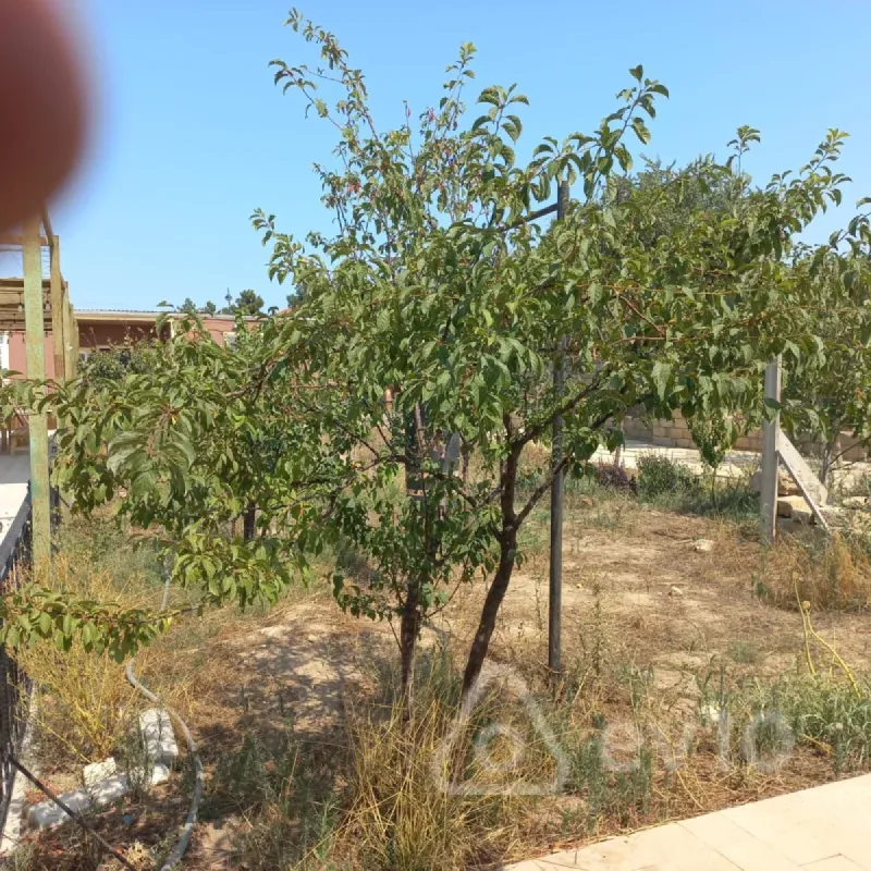 Satılır 3 otaqlı həyət evi 140 m²