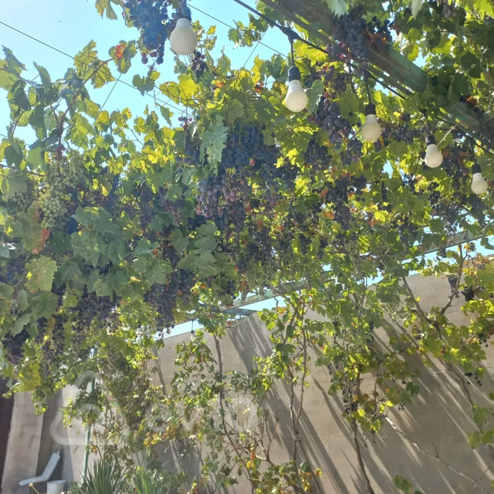 Satılır 3 otaqlı həyət evi 140 m²