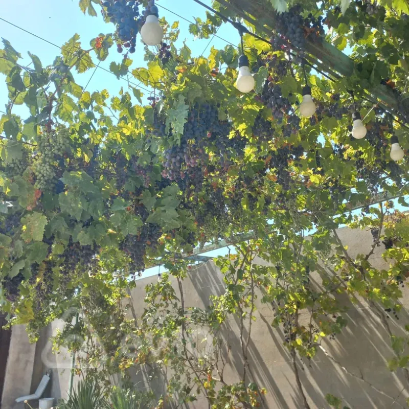 Satılır 3 otaqlı həyət evi 140 m²