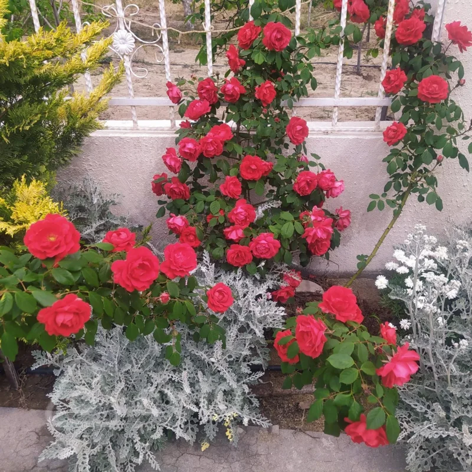 Satılır 3 otaqlı həyət evi 130 m²