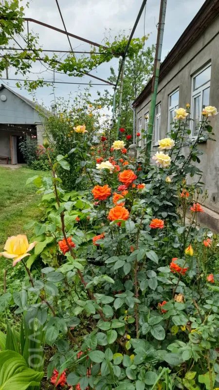 Satılır 7 otaqlı həyət evi 190 m²