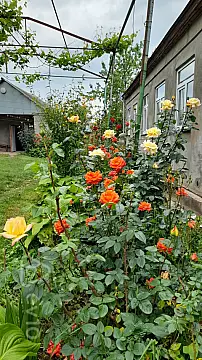 Satılır 7 otaqlı həyət evi 190 m²