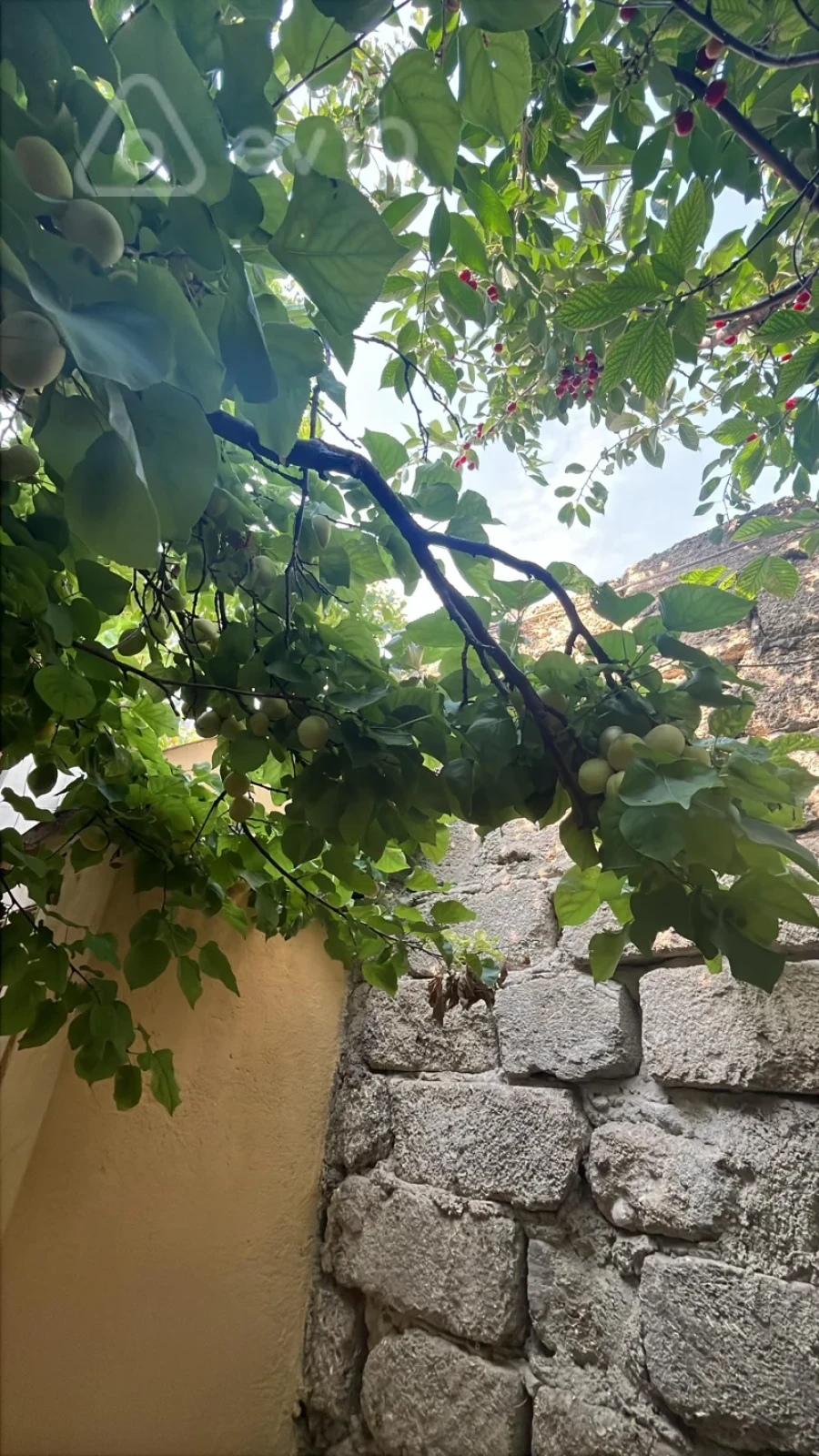 Kirayə verilir 3 otaqlı həyət evi 100 m²