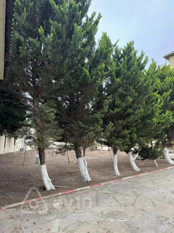 Kirayə verilir 4 otaqlı həyət evi 250 m²