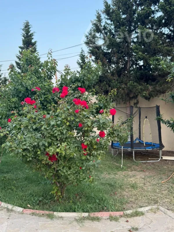 Kirayə verilir 4 otaqlı həyət evi 250 m²