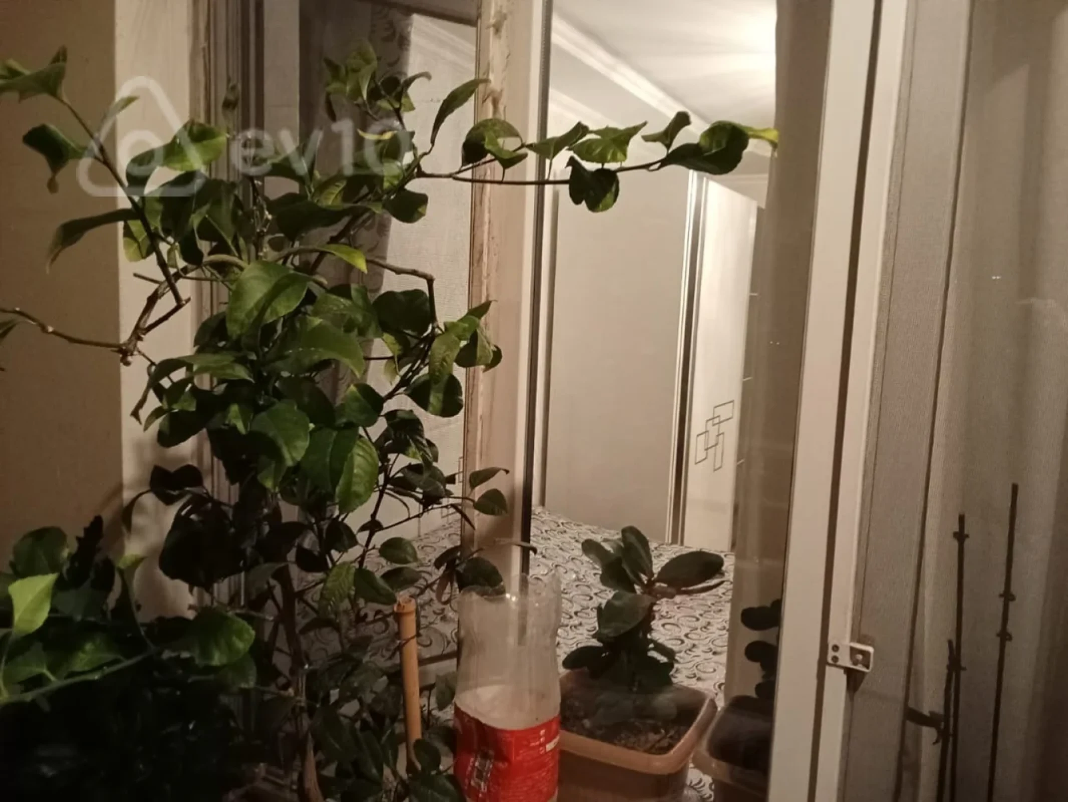 Satılır 3 otaqlı köhnə tikili 75 m²