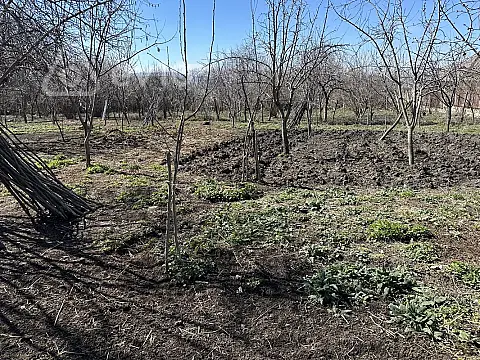 Satılır torpaq sahəsi — İsmayıllı