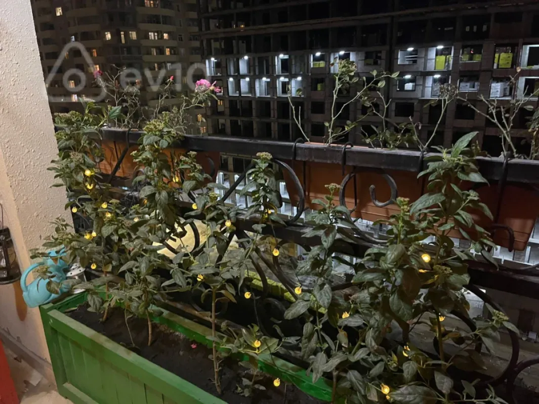 Kirayə verilir 3 otaqlı yeni tikili 90 m²