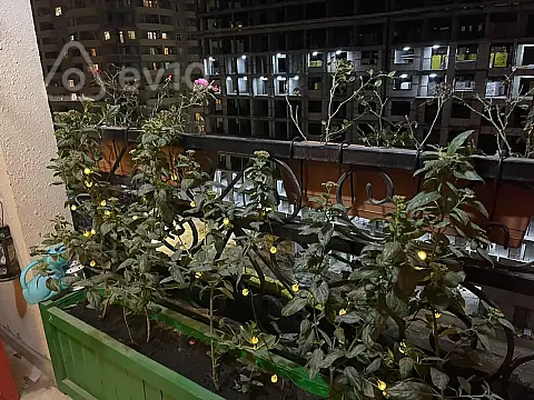 Kirayə verilir 3 otaqlı yeni tikili 90 m²