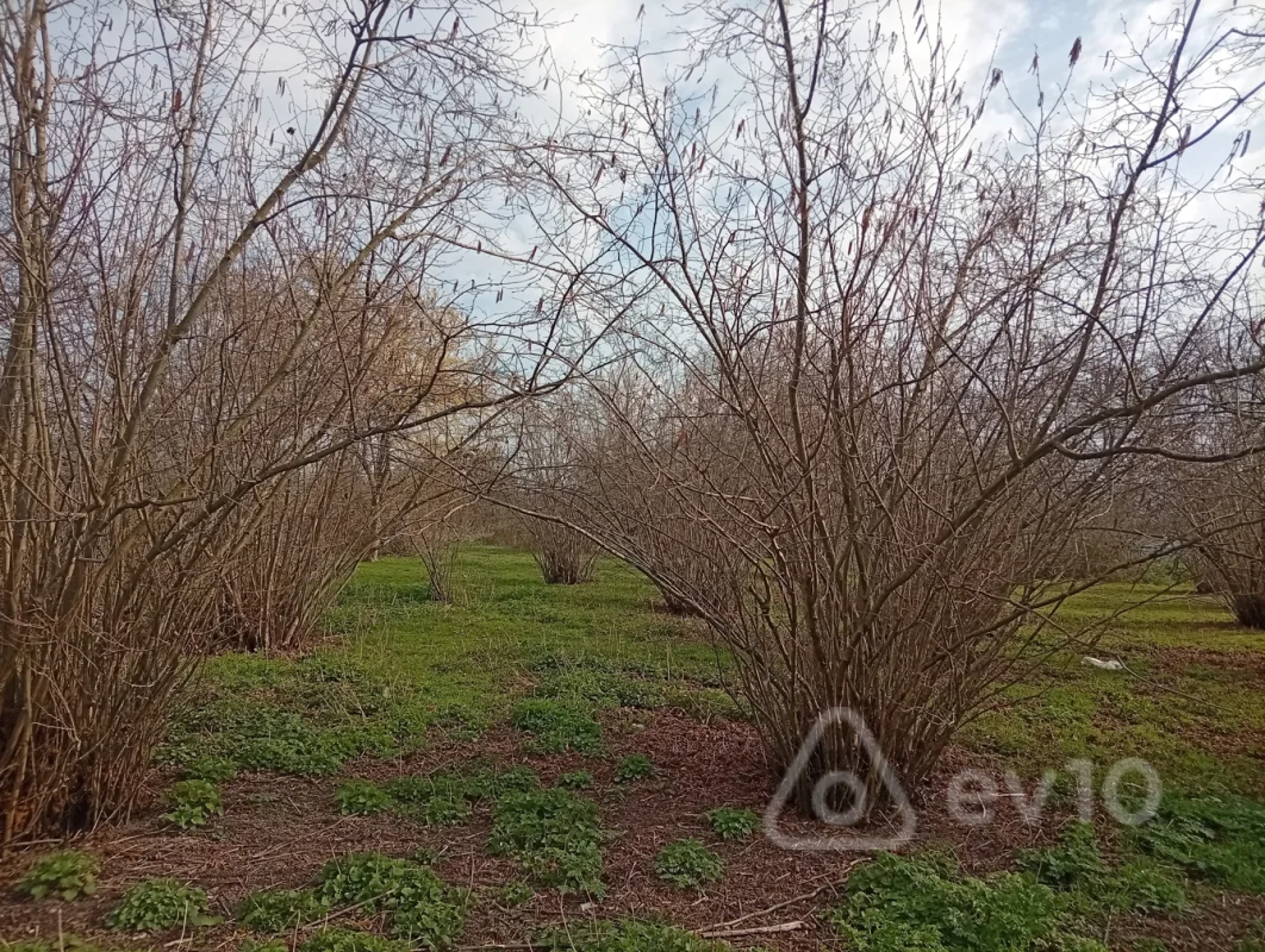 Satılır 2 otaqlı həyət evi 38 m²