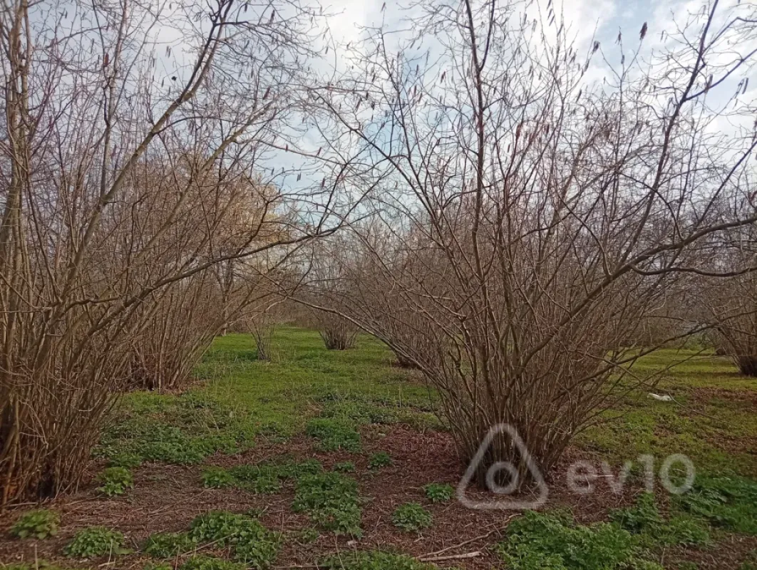 Satılır 2 otaqlı həyət evi 38 m²