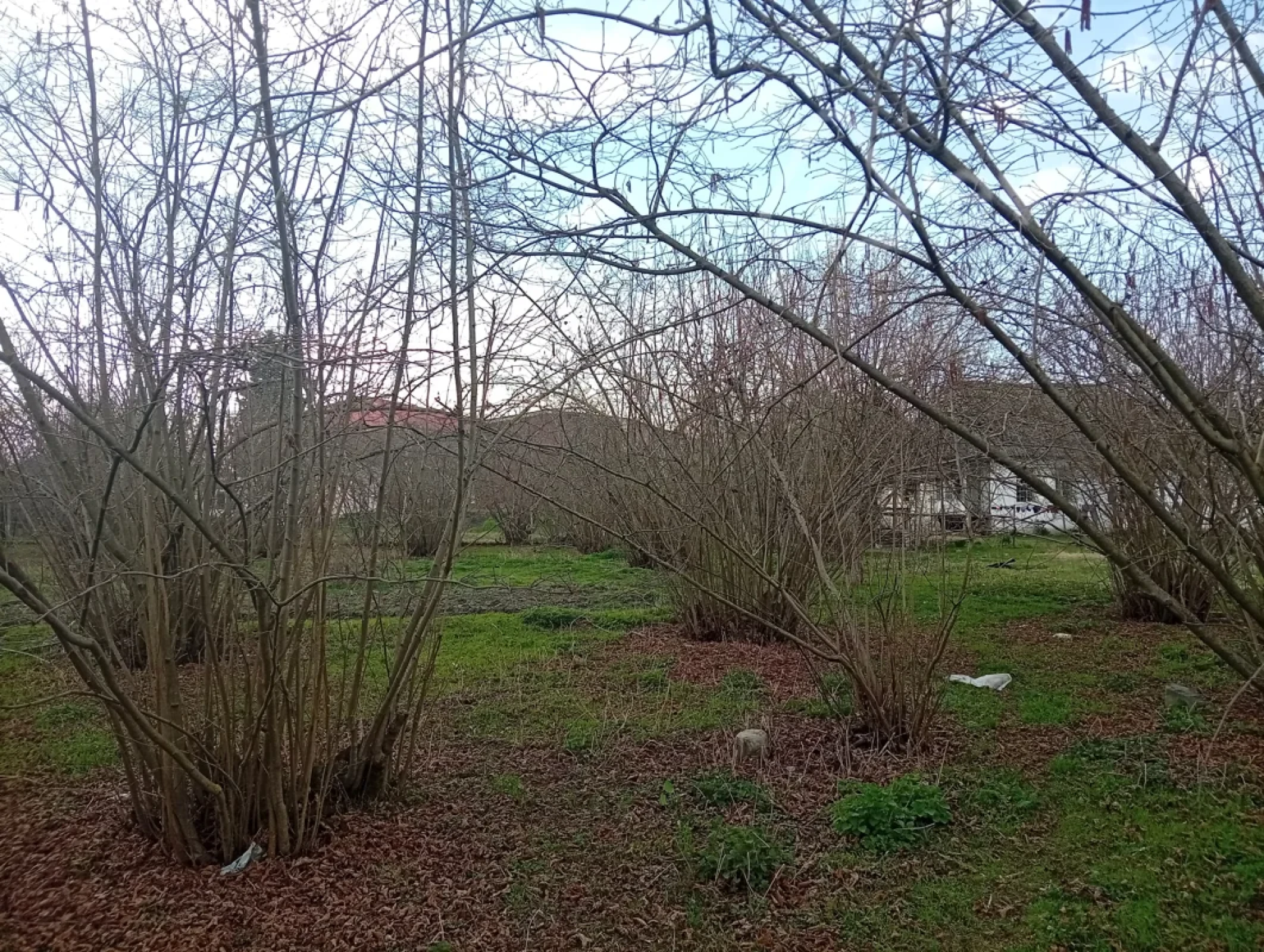 Satılır 2 otaqlı həyət evi 38 m²