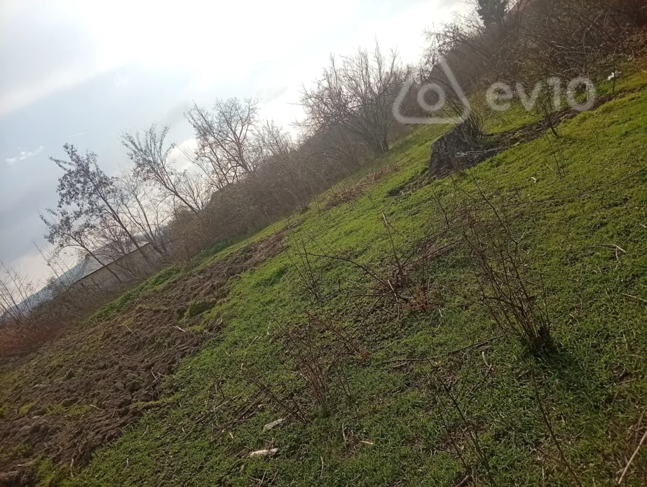 Satılır 2 otaqlı həyət evi 38 m²