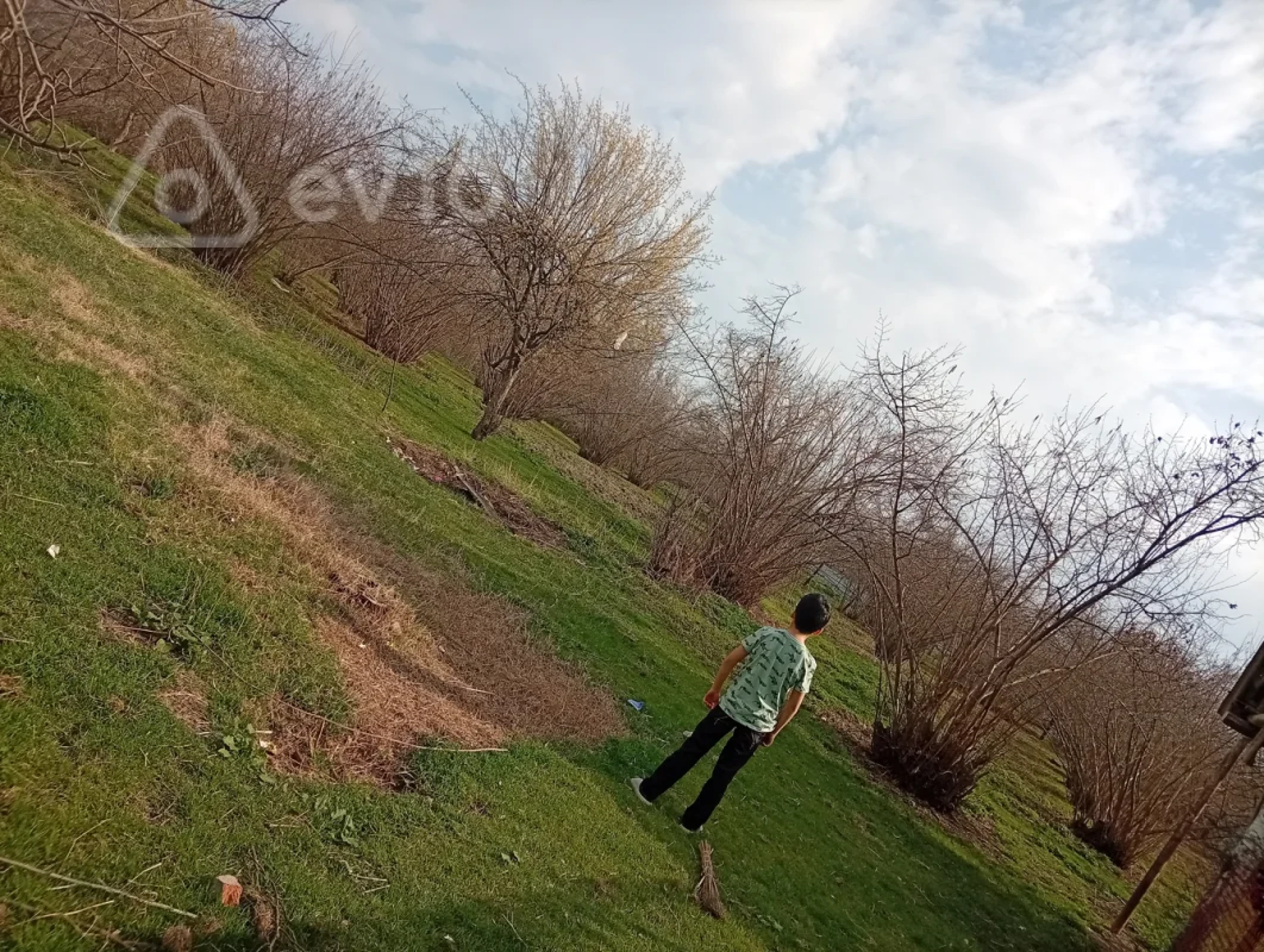Satılır 2 otaqlı həyət evi 38 m²
