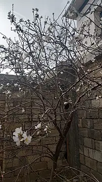 Satılır 4 otaqlı həyət evi 125 m²