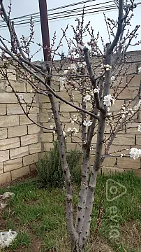 Satılır 4 otaqlı həyət evi 125 m²