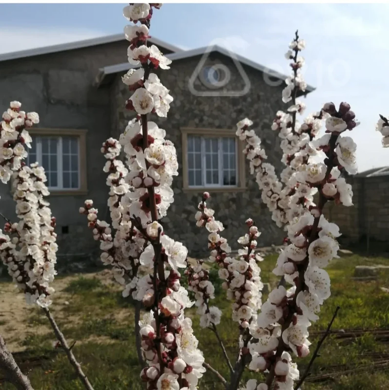 Satılır 4 otaqlı həyət evi 125 m²