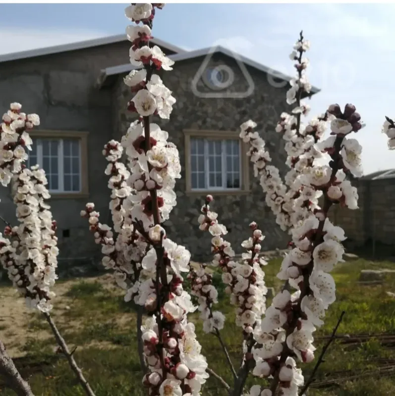 Satılır 4 otaqlı həyət evi 125 m²