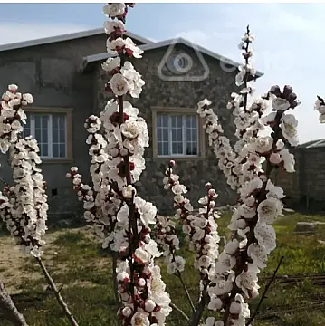 Satılır 4 otaqlı həyət evi 125 m² — Bakı, Sabunçu 4 otaq 125.00 m²