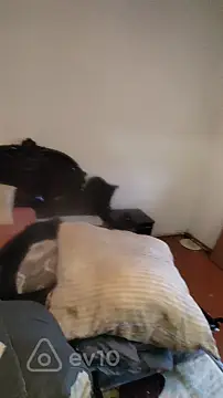 Kirayə verilir 2 otaqlı həyət evi 51 m²