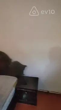 Kirayə verilir 2 otaqlı həyət evi 51 m²