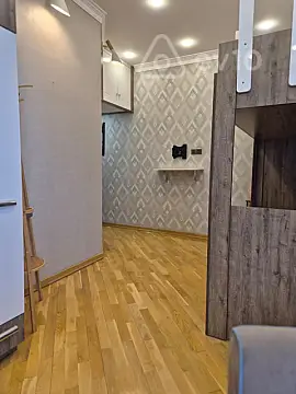 Kirayə verilir 3 otaqlı yeni tikili 110 m²