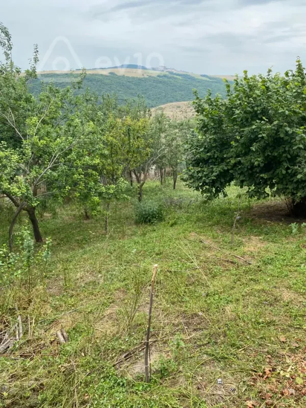 Satılır 3 otaqlı həyət evi 6 m²