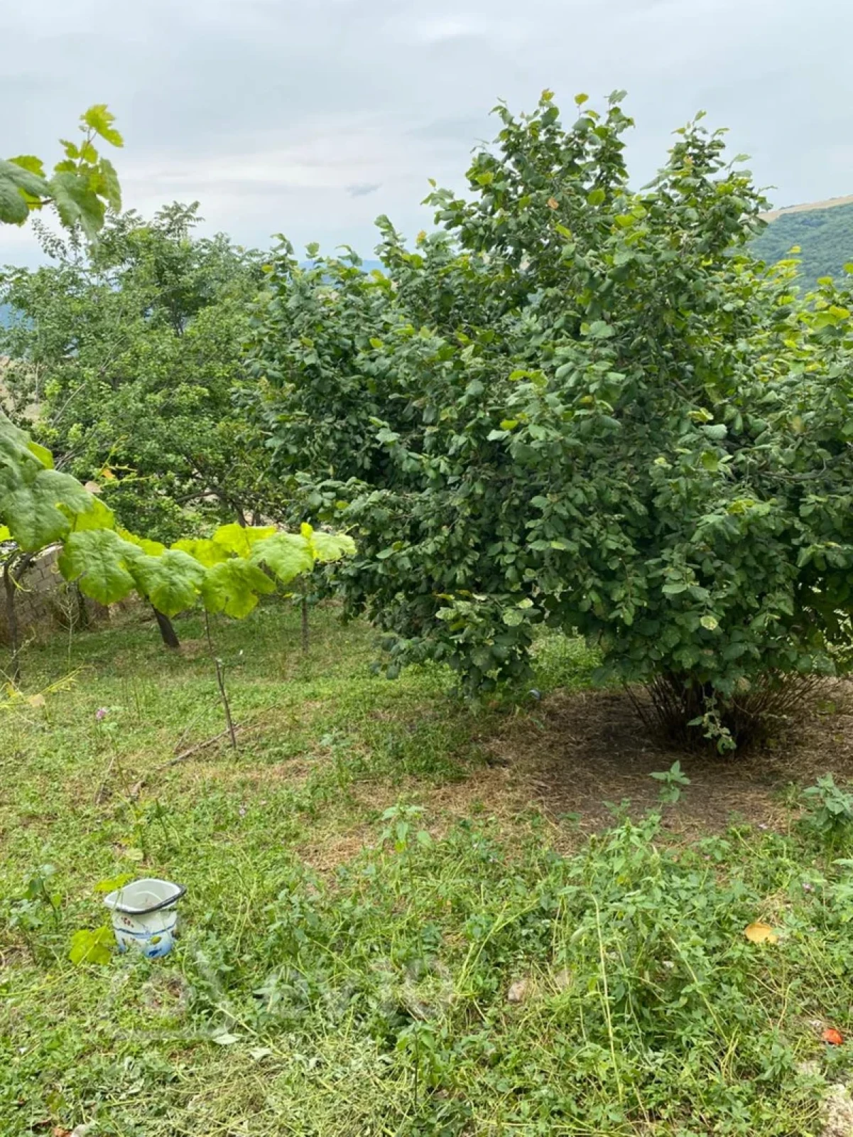 Satılır 3 otaqlı həyət evi 6 m²