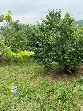 Satılır 3 otaqlı həyət evi 6 m²