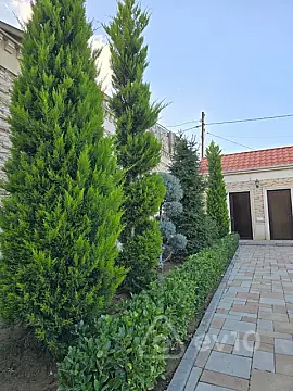 Satılır 3 otaqlı həyət evi 150 m²