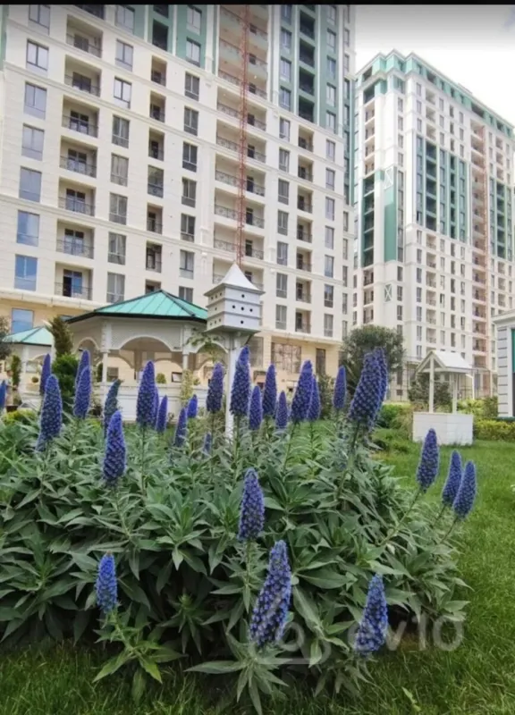 Satılır 2 otaqlı yeni tikili 73 m²