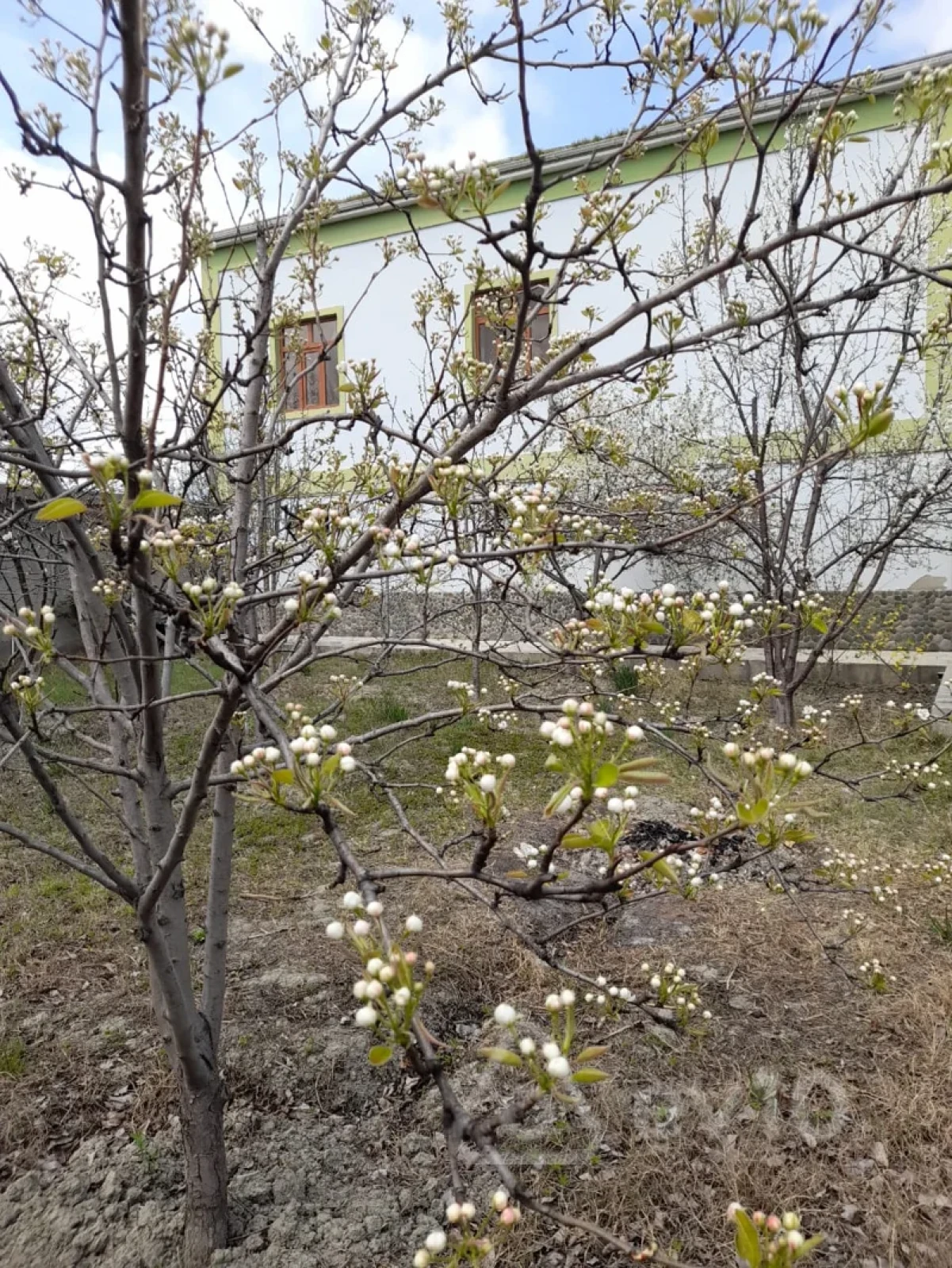 Satılır 6 otaqlı həyət evi 480 m²