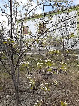 Satılır 6 otaqlı həyət evi 480 m²