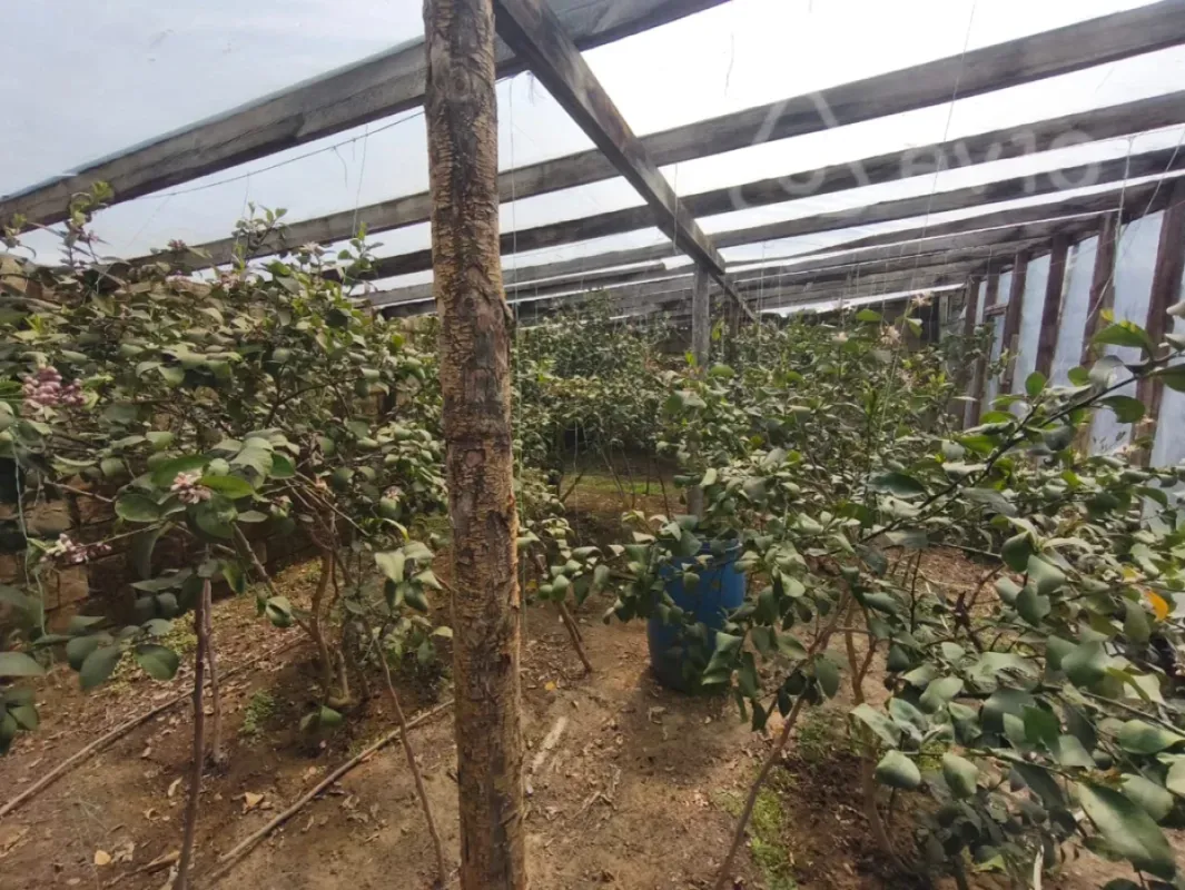 Satılır 4 otaqlı həyət evi 280 m²