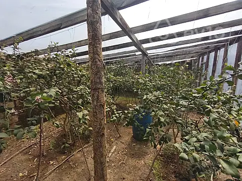 Satılır 4 otaqlı həyət evi 280 m²