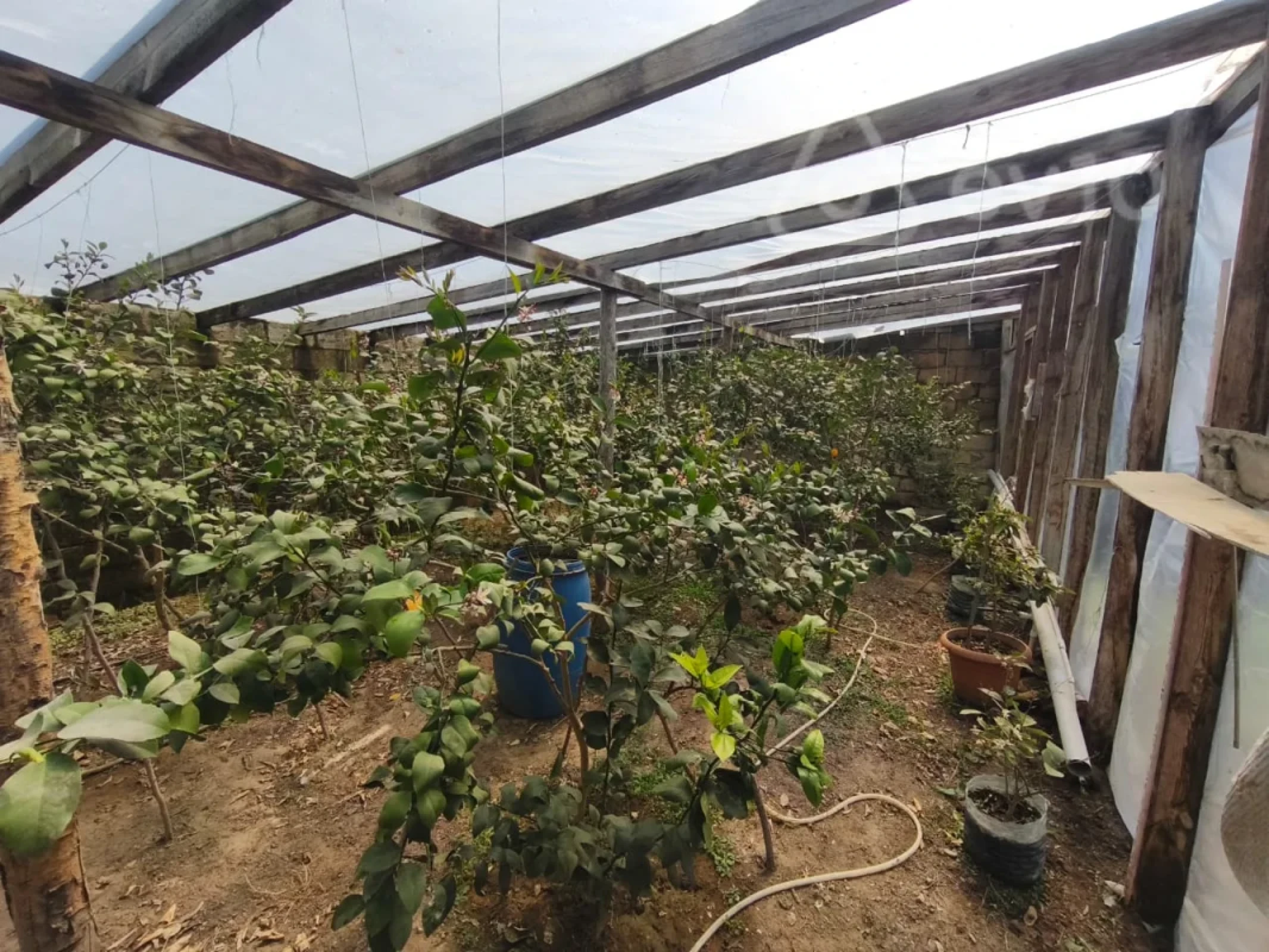 Satılır 4 otaqlı həyət evi 280 m²